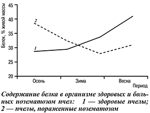 Содержание белка в организме пчел