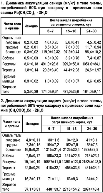 Аккумуляция тяжелых металлов в теле пчел