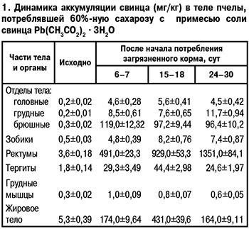 Динамика аккумуляции свинца в теле пчел