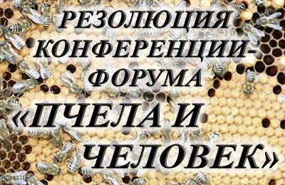 конференция