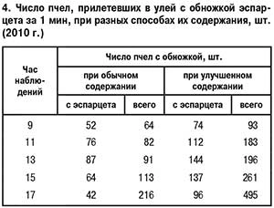 Число пчел  с обножкой эспарцета