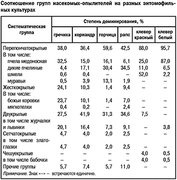 Насекомые опылители на полях гречихи