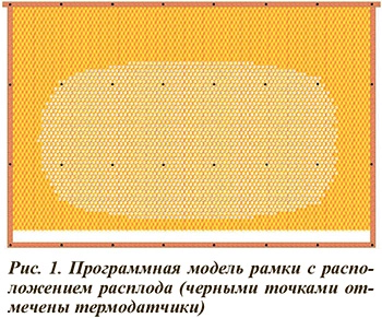 Программная модель рамки с расплодом