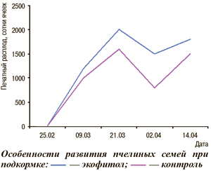 Особенности развития пчелиных семей при подкормке