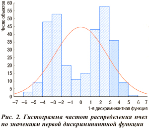 Гистограмма частот распределения пчел по значениям первой дискриминантной функции
