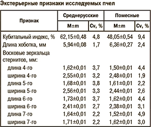 экстерьерные признаки пчел