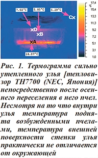 Термограмма утепленного улья