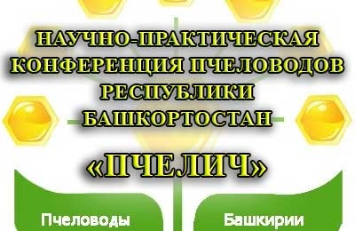 конференция