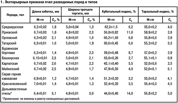 Экстерьерные признаки пород пчел