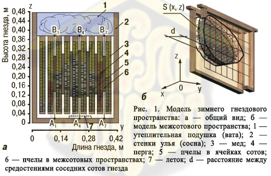 Модель зимнего гнездового пространства улья пчел
