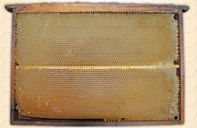 Рамка для пчел сушь Дадан