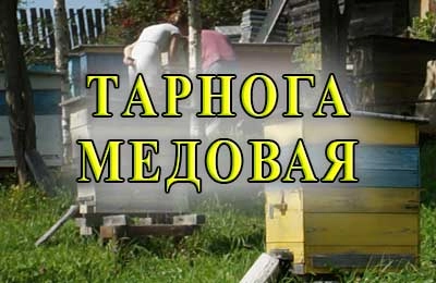 Тарнога медовая