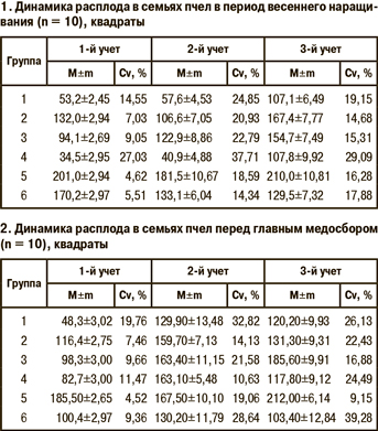 Динамика расплода в семьях пчел в период весеннего наращивания