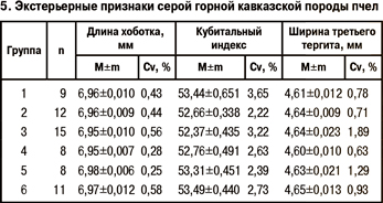 Экстерьерные признаки серой горной кавказской породы пчел