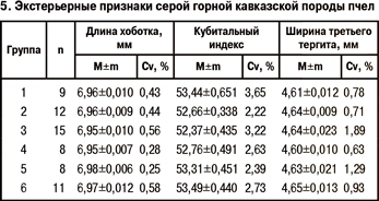 Экстерьерные признаки серой горной кавказской породы пчел