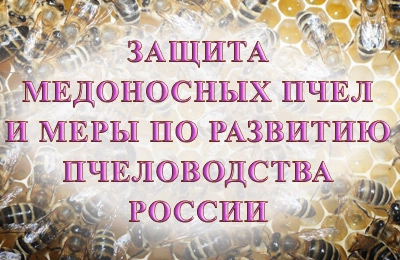 конференция по пчеловодству