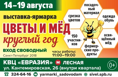 продажа меда