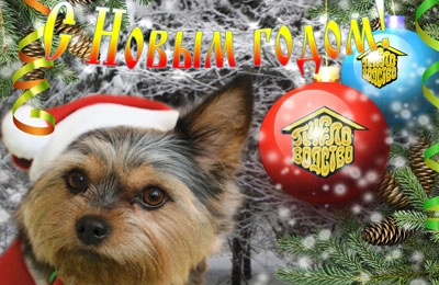 С Новым годом!