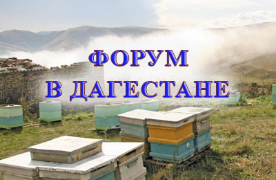 конференция по пчеловодству