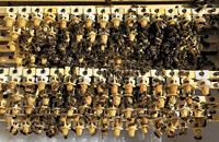 Аспекты вывода маток