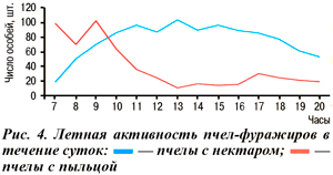 Летная активность пчел