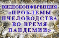 конференция по пчеловодству