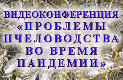 конференция по пчеловодству