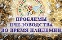 конференция проблемы пчеловодства