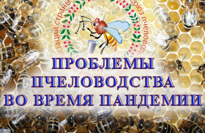 конференция проблемы пчеловодства