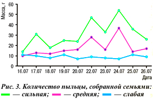 Количество пыльцы, собранной семьями