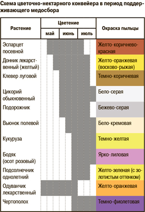 Схема цветочно-нектарного конвейера в период поддерживающего медосбора
