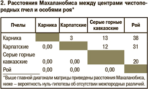 Расстояния Махаланобиса между центрами чистопородных пчел и особями роя