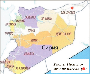 Расположение исследуемой пасеки