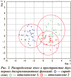 Распределение пчел в пространстве двух первых дискриминантных функций