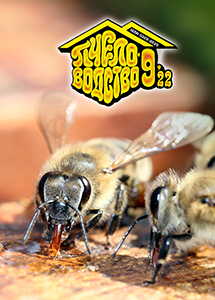 Обложка Пчеловодство № 9 2022