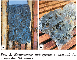 Количество подкормки в пчелиных семьях