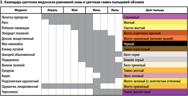 Календарь цветения растений в равнинной зоне