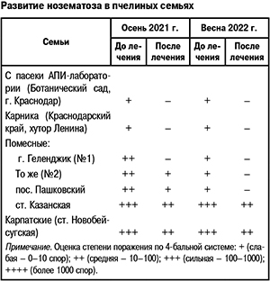 Развитие нозематоза в пчелиных семьях