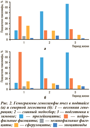 Гемограммы гемолимфы пчел в подтайге и северной лесостепи