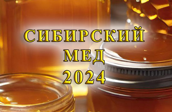 Сибирский мед — 2024