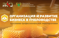 Организация бизнеса в пчеловодстве
