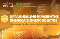 Организация бизнеса в пчеловодстве