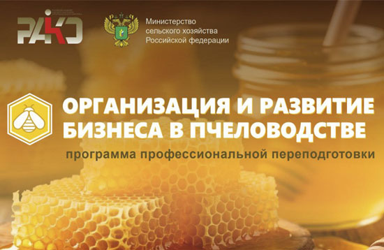 Организация бизнеса в пчеловодстве