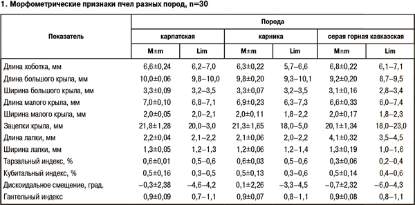 Морфометрические признаки пчел разных пород