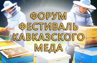 Форум ФЕСТИВАЛЬ КАВКАЗСКОГО МЕДА
