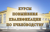 курсы повышения квалификации