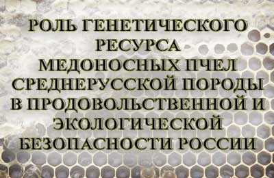 конференция