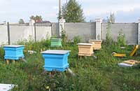 О некоторых нормативно-правовых актах, регулирующих отношения в пчеловодстве 