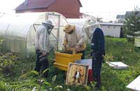 Права пчеловода должны быть восстановлены