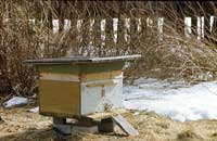 Уход за пчелами ранней весной